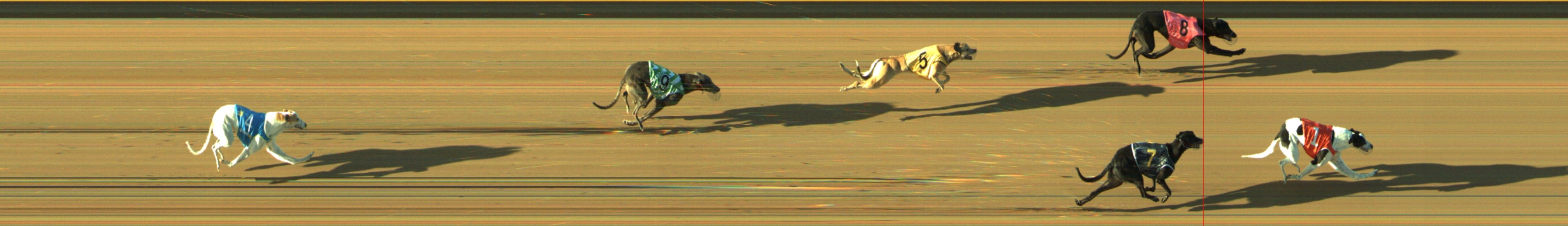 Race result finish photo